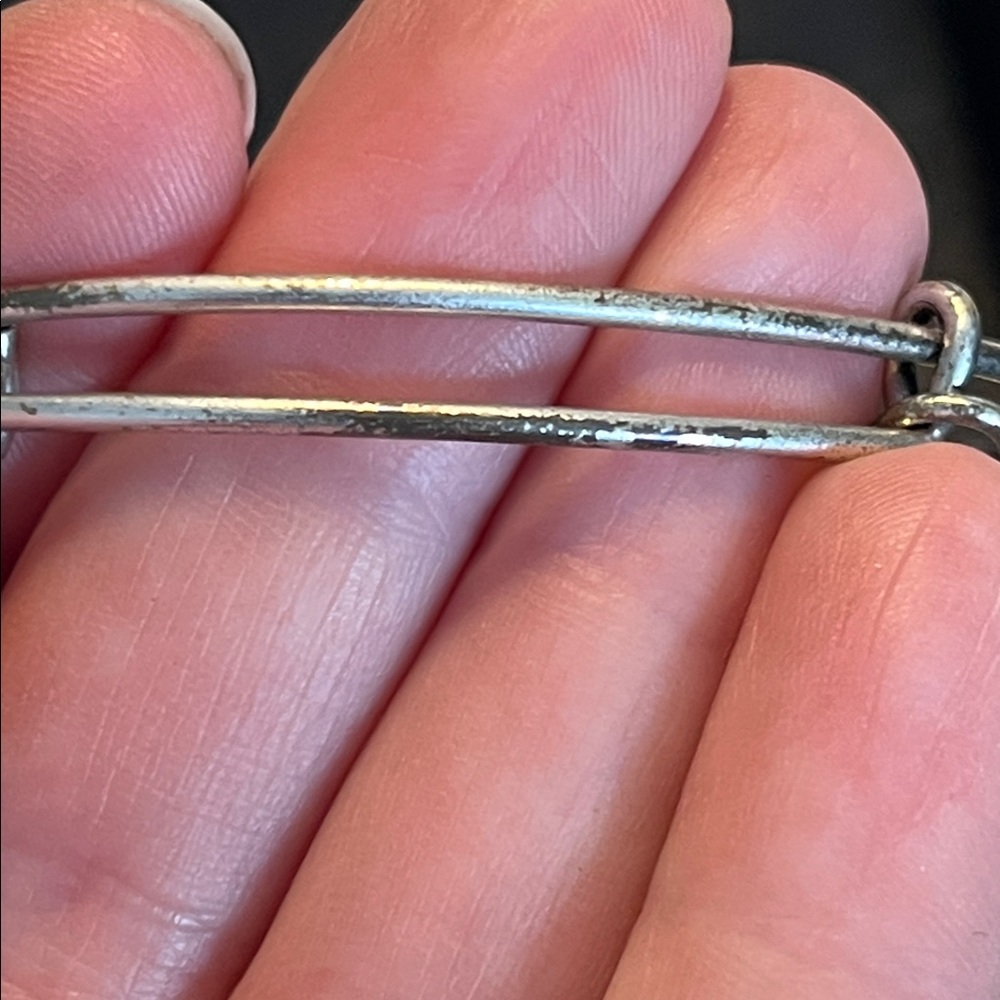 Alex and Ani Silver Queen Bee Charm Bracelet - Picture 11 of 13